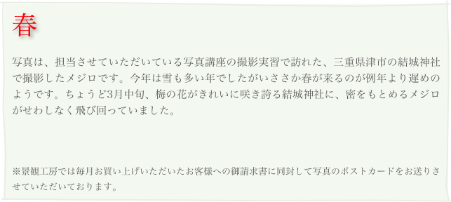 春
写真は、担当させていただいている写真講座の撮影実習で訪れた、三重県津市の結城神社で撮影したメジロです。今年は雪も多い年でしたがいささか春が来るのが例年より遅めのようです。ちょうど3月中旬、梅の花がきれいに咲き誇る結城神社に、密をもとめるメジロがせわしなく飛び回っていました。

※景観工房では毎月お買い上げいただいたお客様への御請求書に同封して写真のポストカードをお送りさせていただいております。