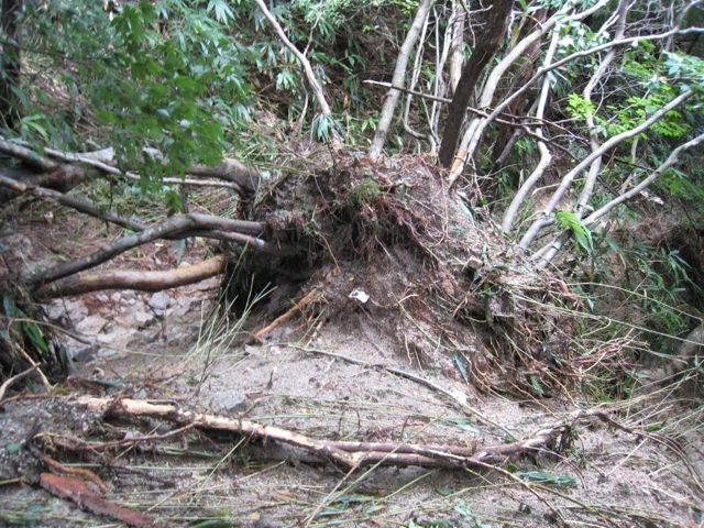御在所豪雨被害調査　武平峠下045